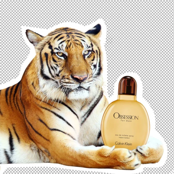 Calvin Klein Obsession EDT For Men - Image 4